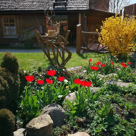 Marta دروسكينينكاي