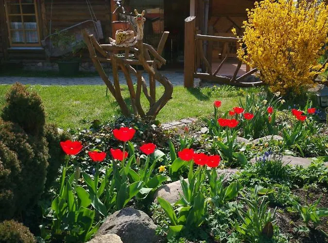 Marta Друскининкай